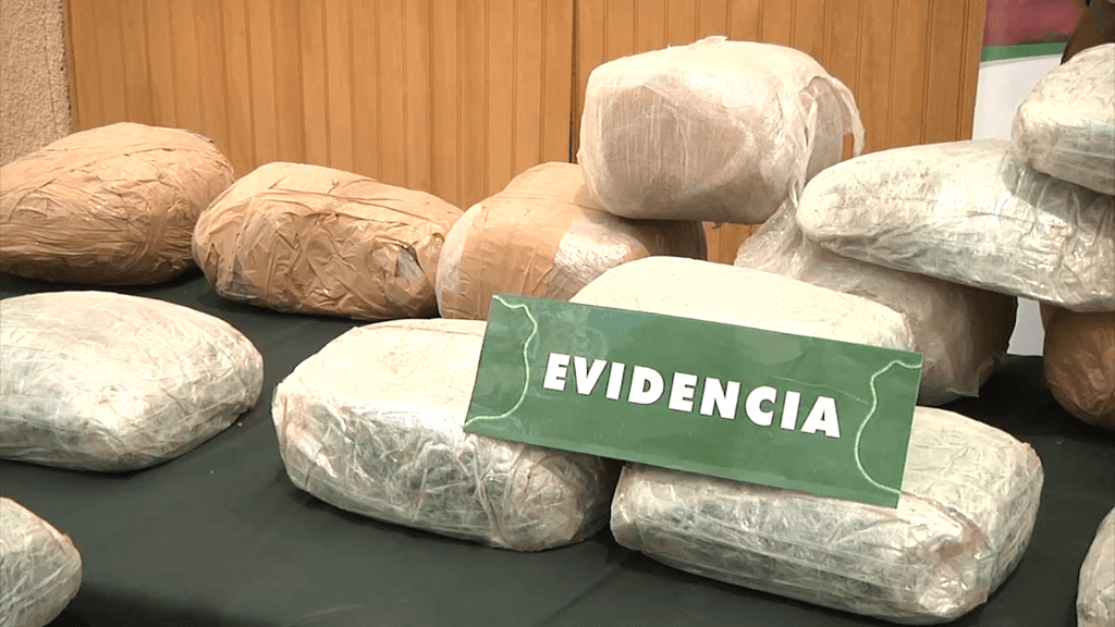 decomiso marihuana decomiso marihuana