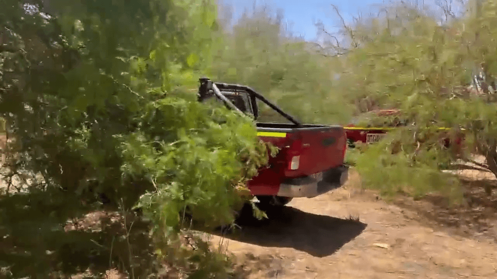 vehículos robados vehículos robados