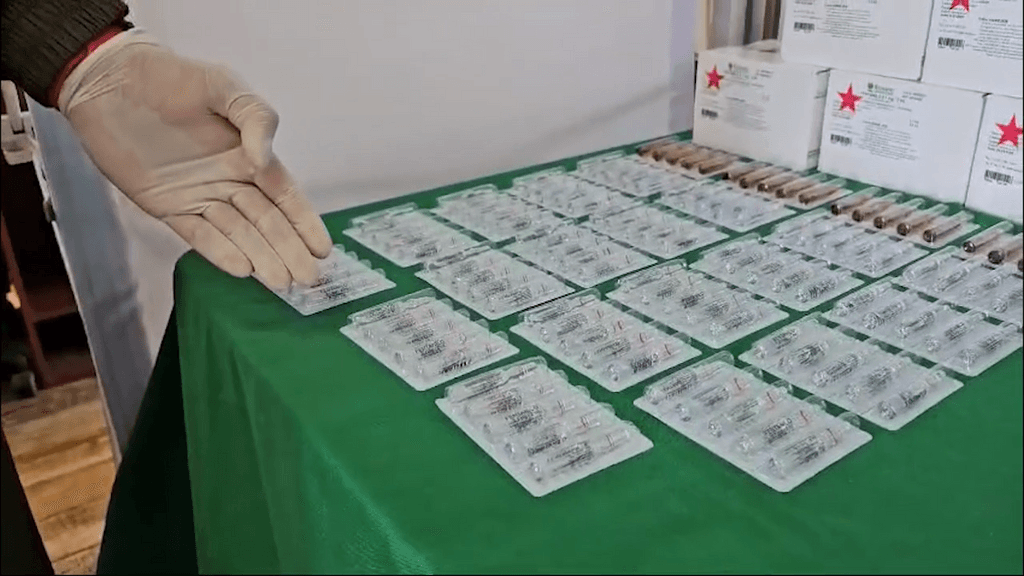 DROGA ZONBIE DROGA ZONBIE