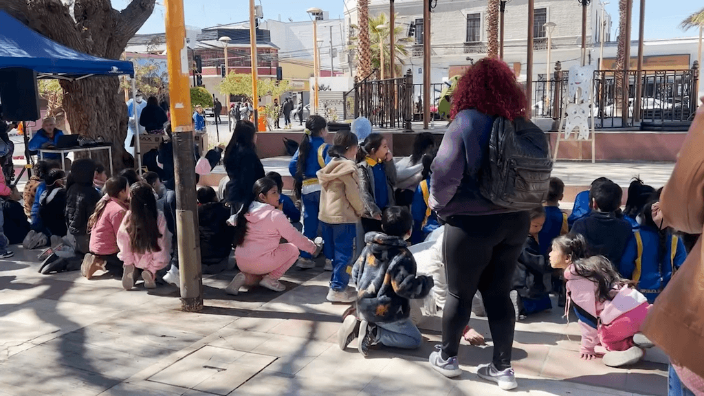 salud mental salud mental