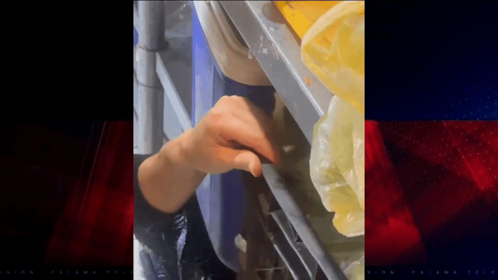 ficalización spa ficalización spa