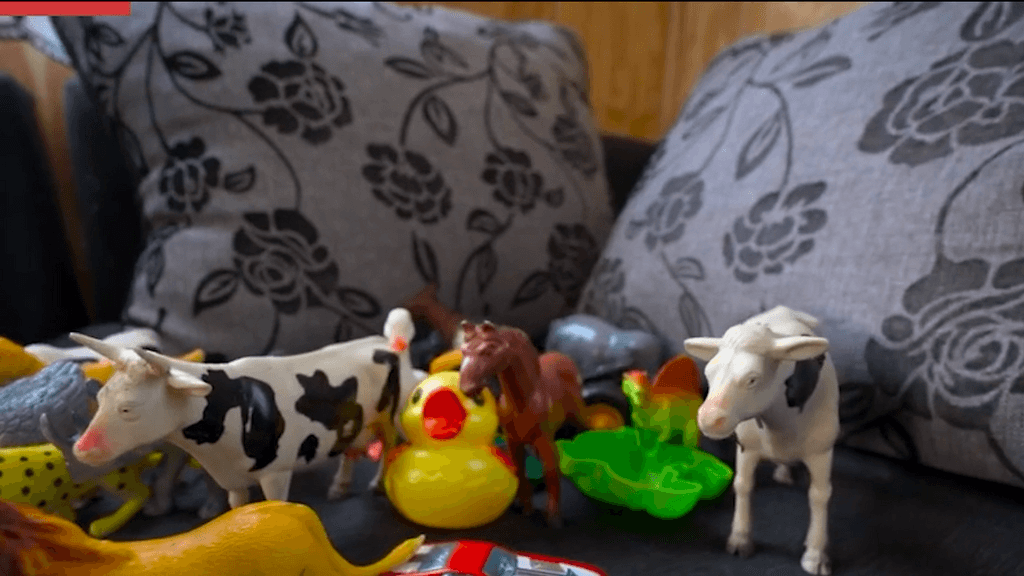 familia acogida familia acogida