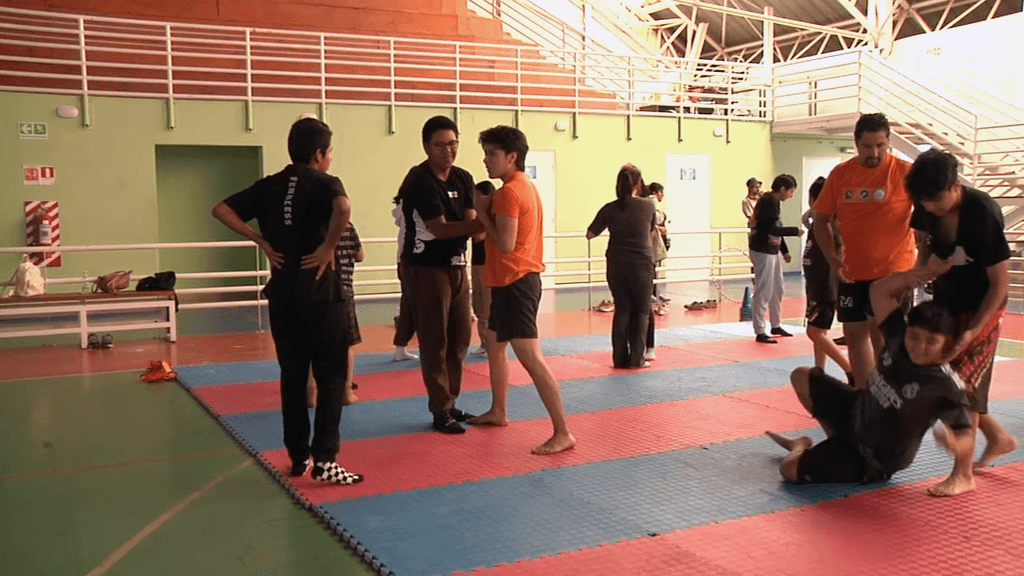 escuela de verano escuela de verano