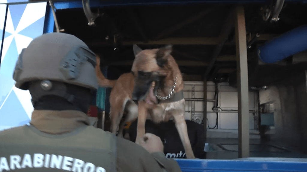 narco equipajes narco equipajes