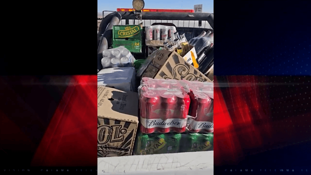 seguridad pública seguridad pública