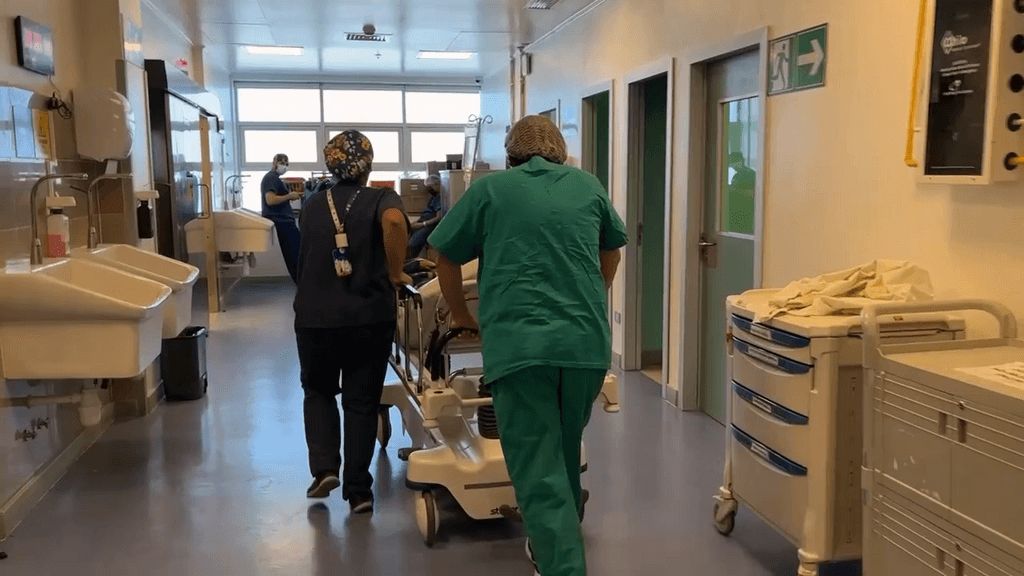 denuncia negligencia denuncia negligencia