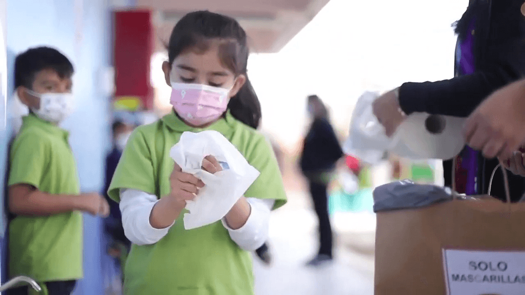 autocuidado influenza autocuidado influenza