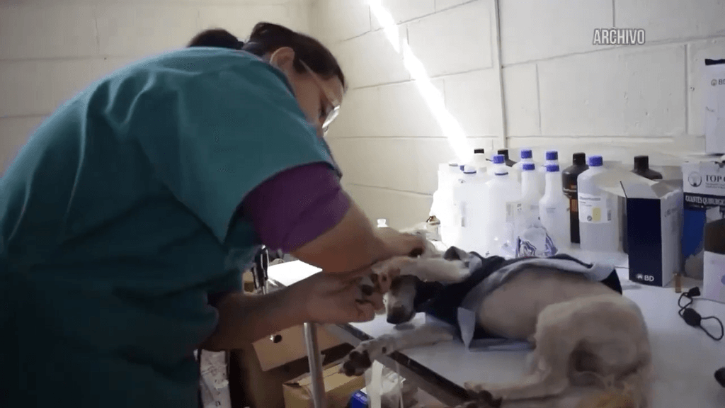 tenecia responsable tenecia responsable