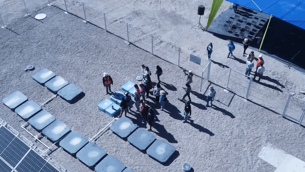 planta camar planta camar