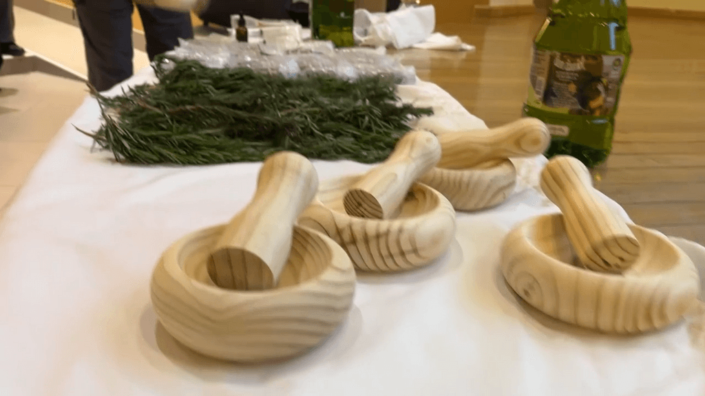 medicina ancestral medicina ancestral