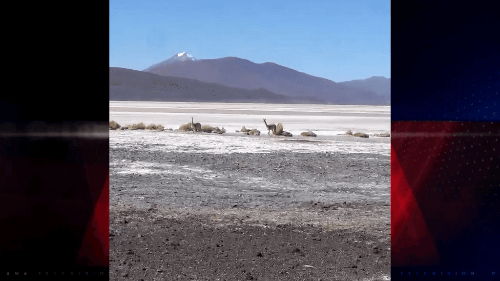 mesa salares mesa salares