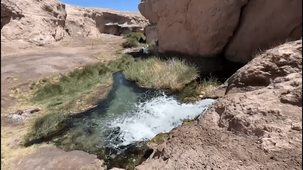 protección ojo opache protección ojo opache