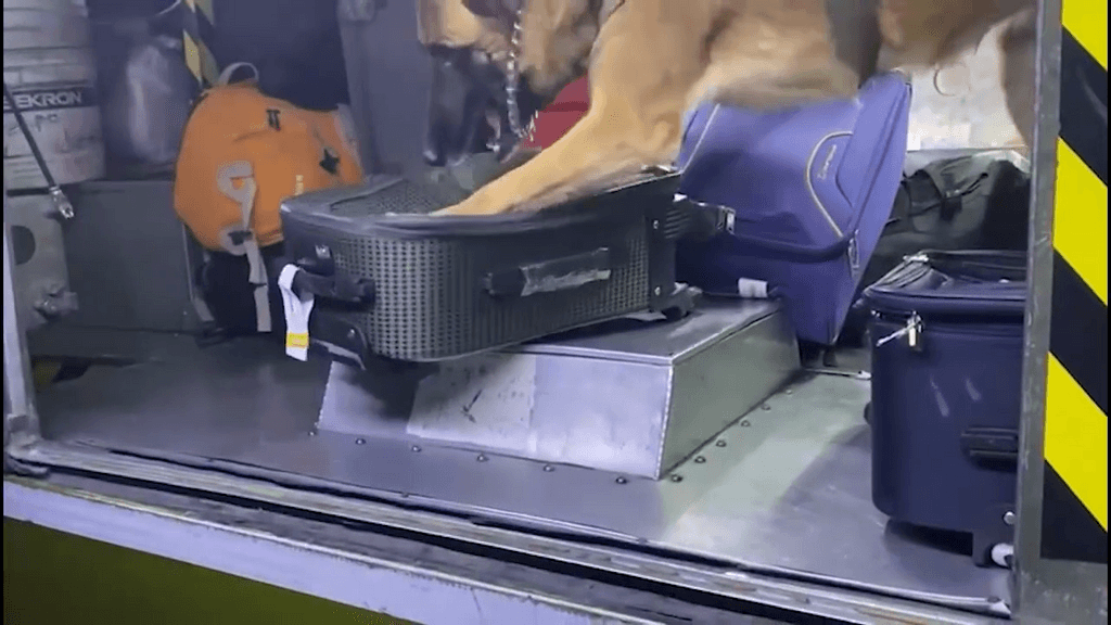 NARCO EQUIPAJE NARCO EQUIPAJE