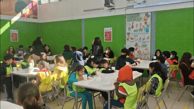 escuela de invierno