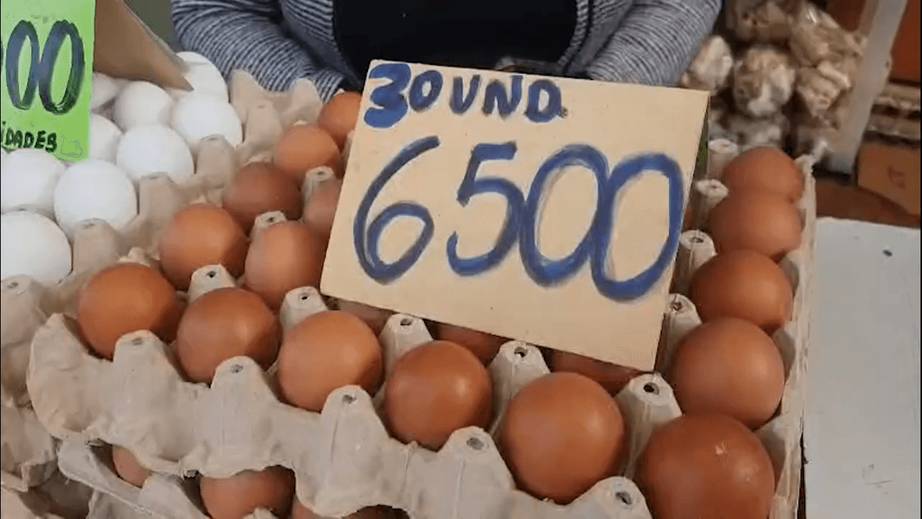 huevos