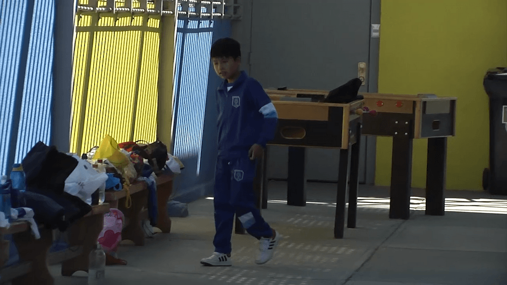 saud escolar saud escolar