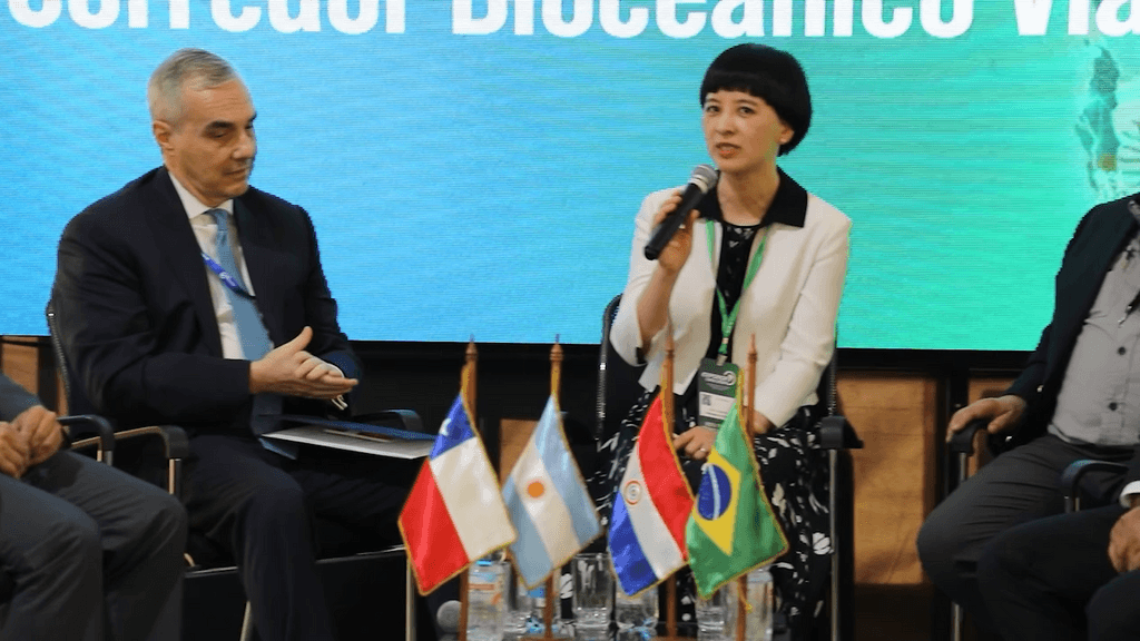 corredor bioceánico corredor bioceánico