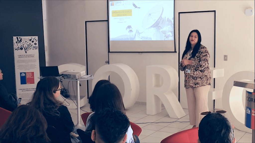 capital semilla capital semilla