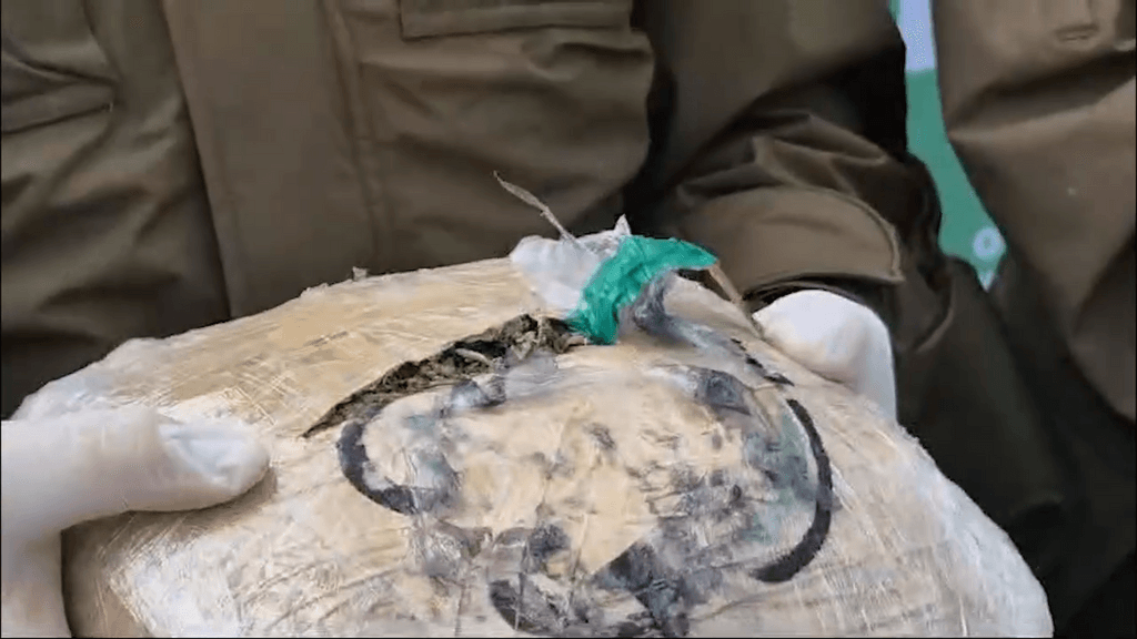 decomiso droga decomiso droga