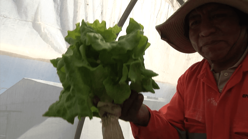 inacap asac inacap asac