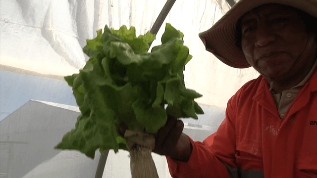 inacap asac inacap asac