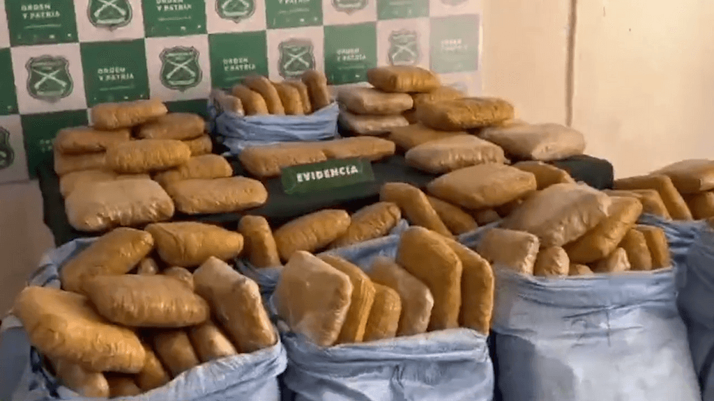 decomiso marihuana decomiso marihuana