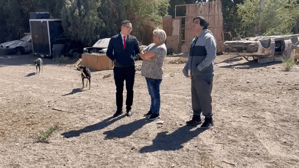 desalojo arbitrario desalojo arbitrario