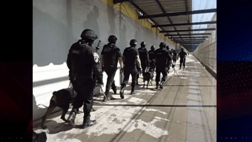 allanamientos ffpp allanamientos ffpp