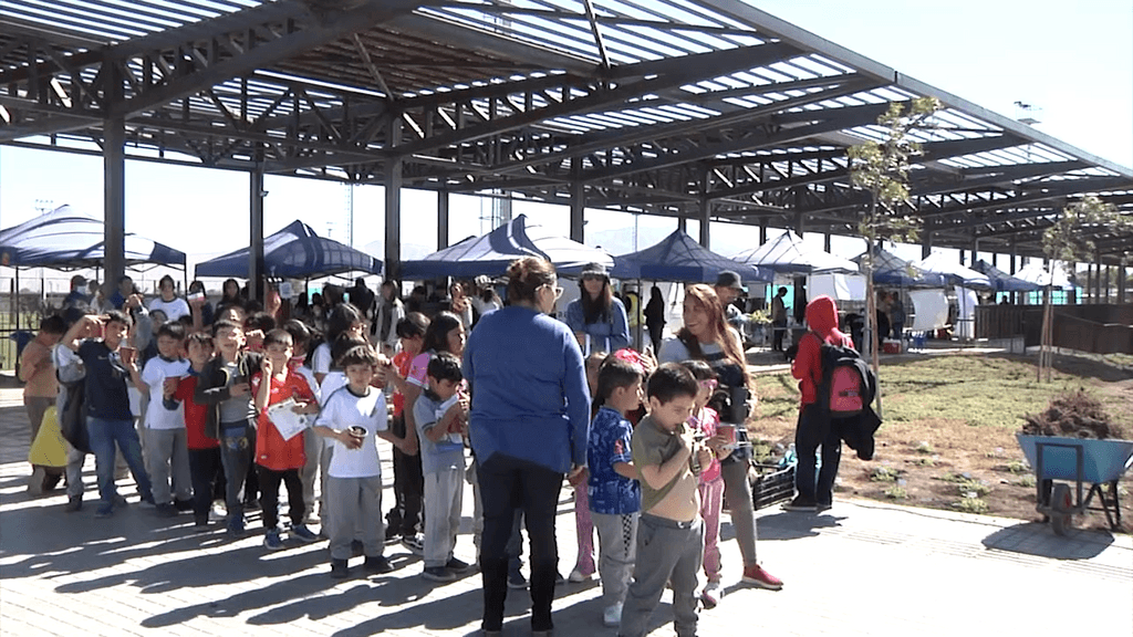 medioambiente medioambiente