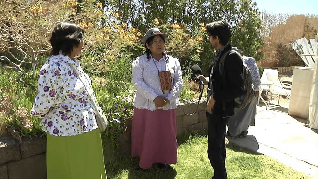 educación educación