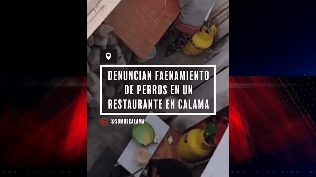 denuncia faena animales domésticos denuncia faena animales domésticos