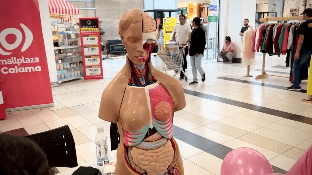 CÁNCER MAMA CÁNCER MAMA