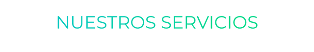 NUESTROS SERVICIOS NUESTROS SERVICIOS