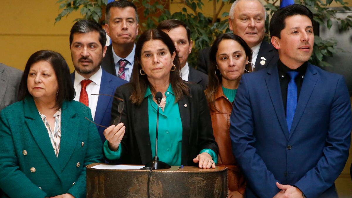 diputados RN diputados RN