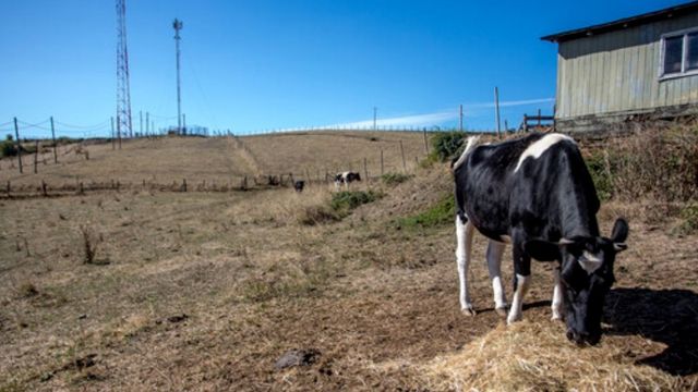 Escasez hídrica Escasez hídrica