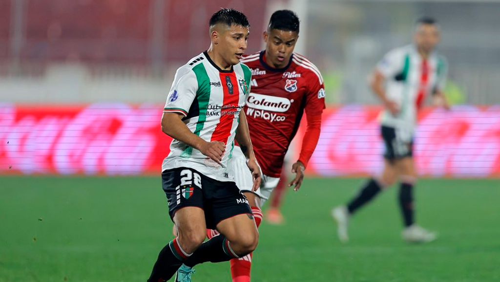 Palestino Palestino
