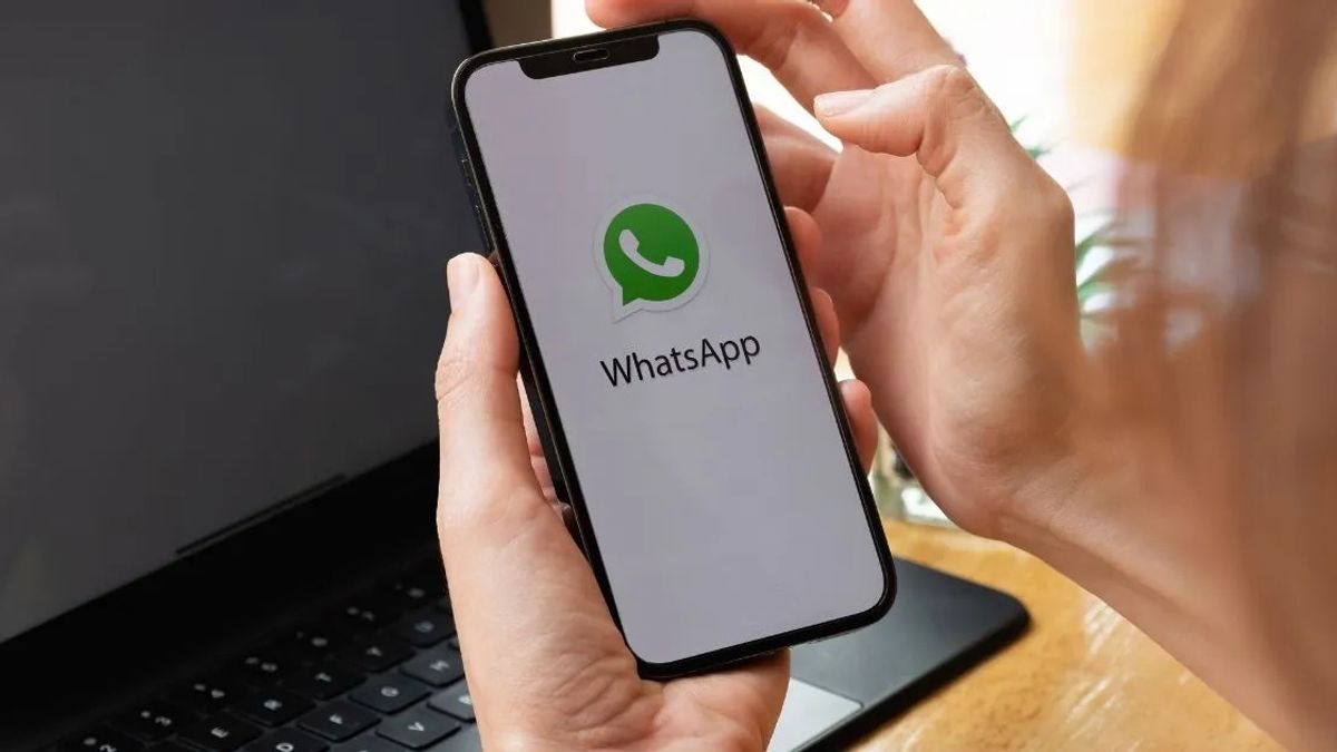 WhatsApp-2 WhatsApp-2