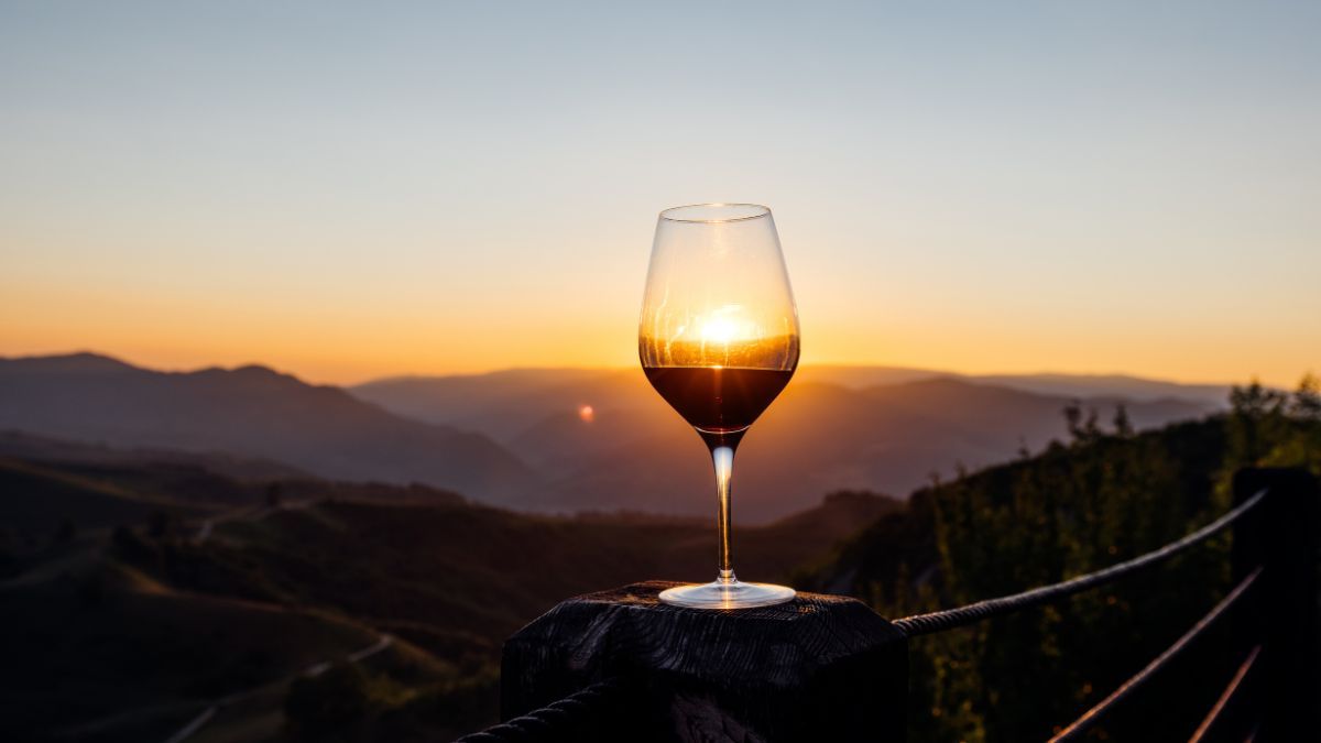 Vino Vino