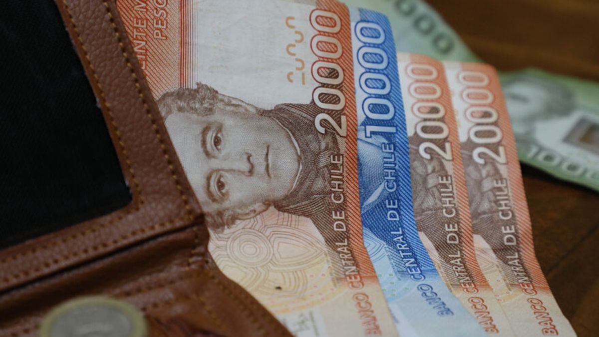 Bono marzo 2024 Bono marzo 2024