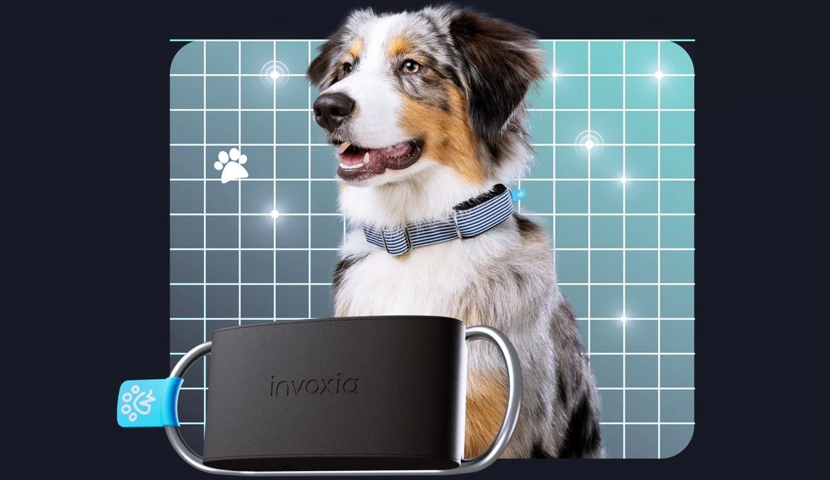 tecnología tecnología