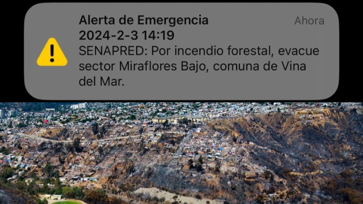 Alerta SAE Alerta SAE