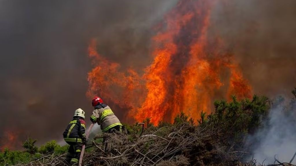 Incendio forestal (referencia) Incendio forestal (referencia)