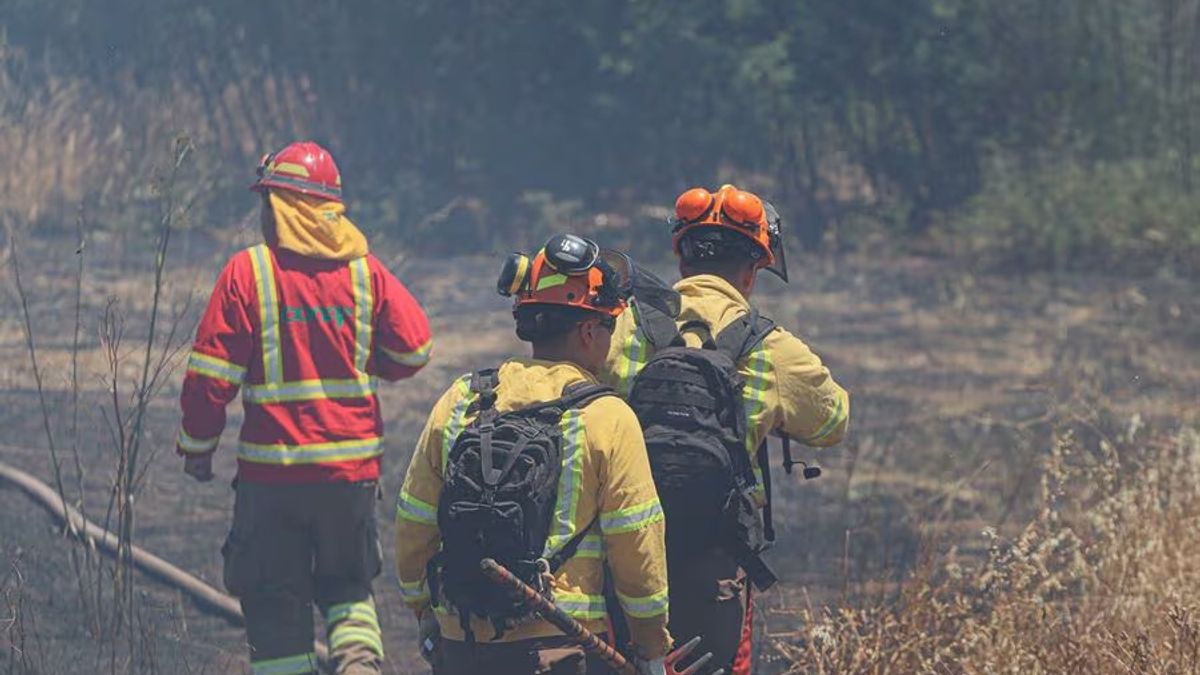 Incendios Incendios