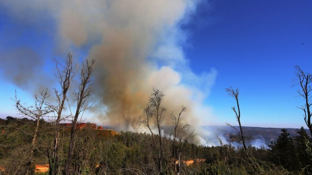 Incendios forestales