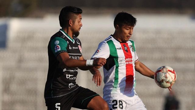 Palestino Palestino