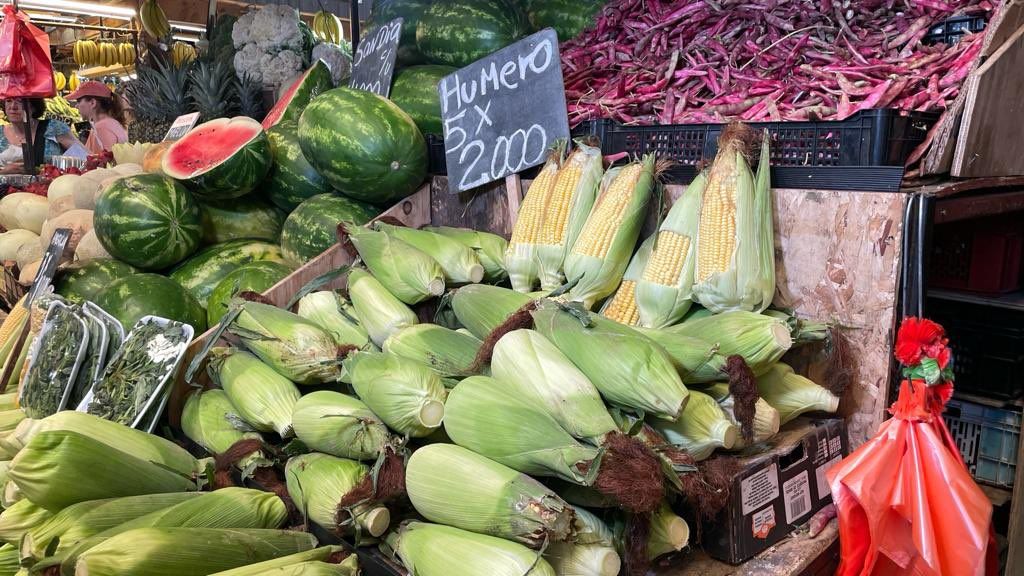 Precios bajos en tomate y choclo