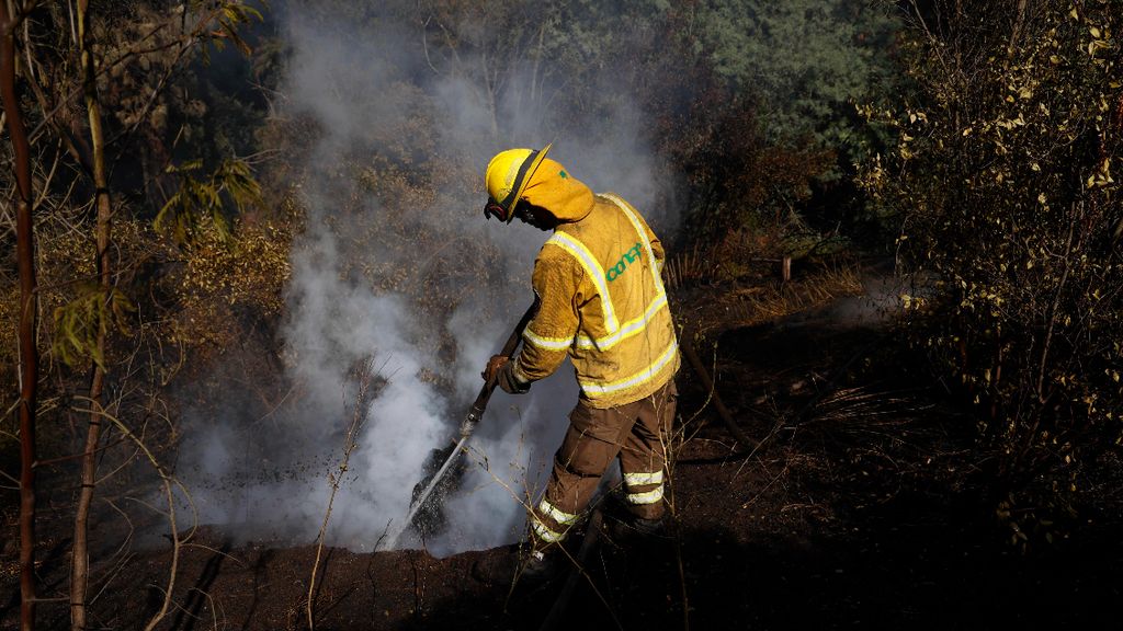 Incendio forestal (referencia) Incendio forestal (referencia)