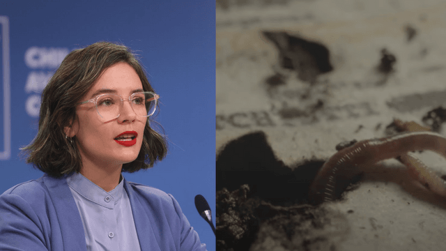 Campaña de donación de órganos Campaña de donación de órganos