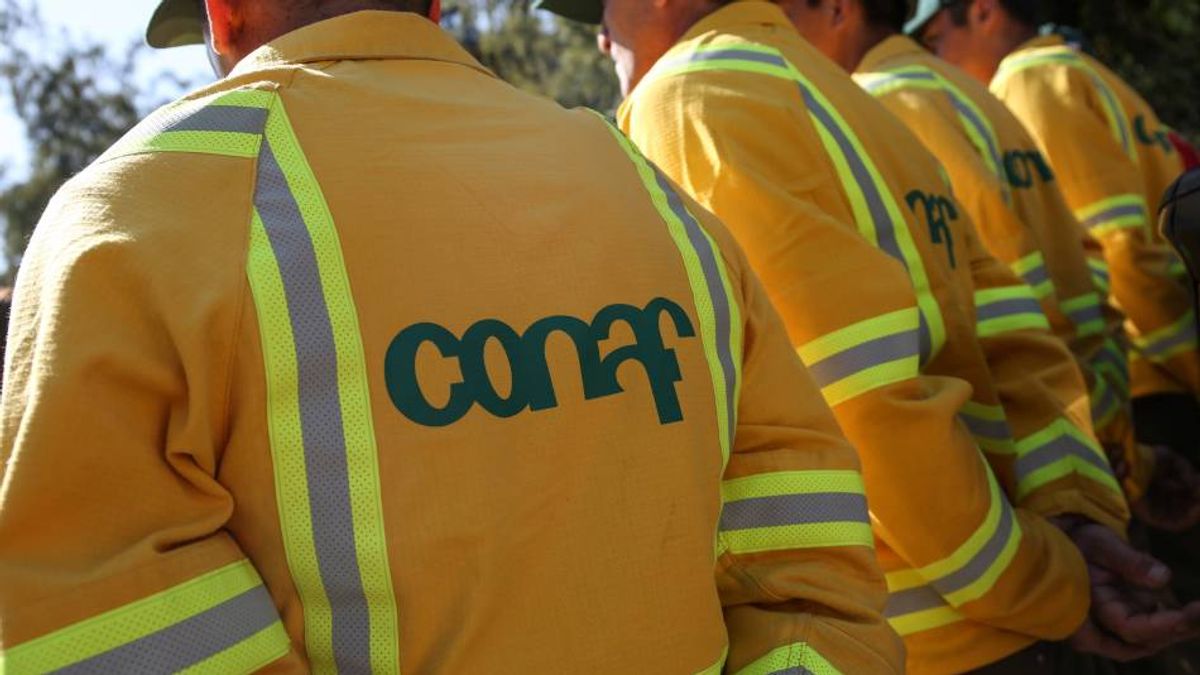 Conaf Conaf