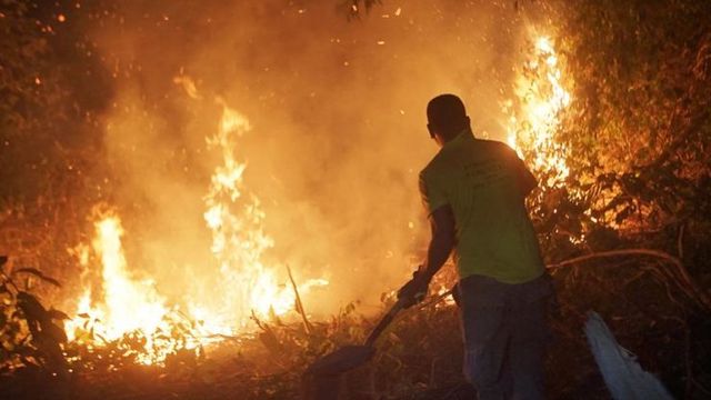 Incendio forestal, Bolivia Incendio forestal, Bolivia